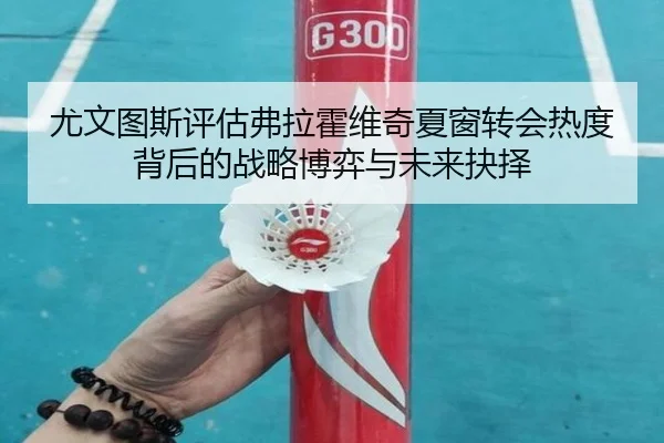 尤文图斯评估弗拉霍维奇夏窗转会热度背后的战略博弈与未来抉择